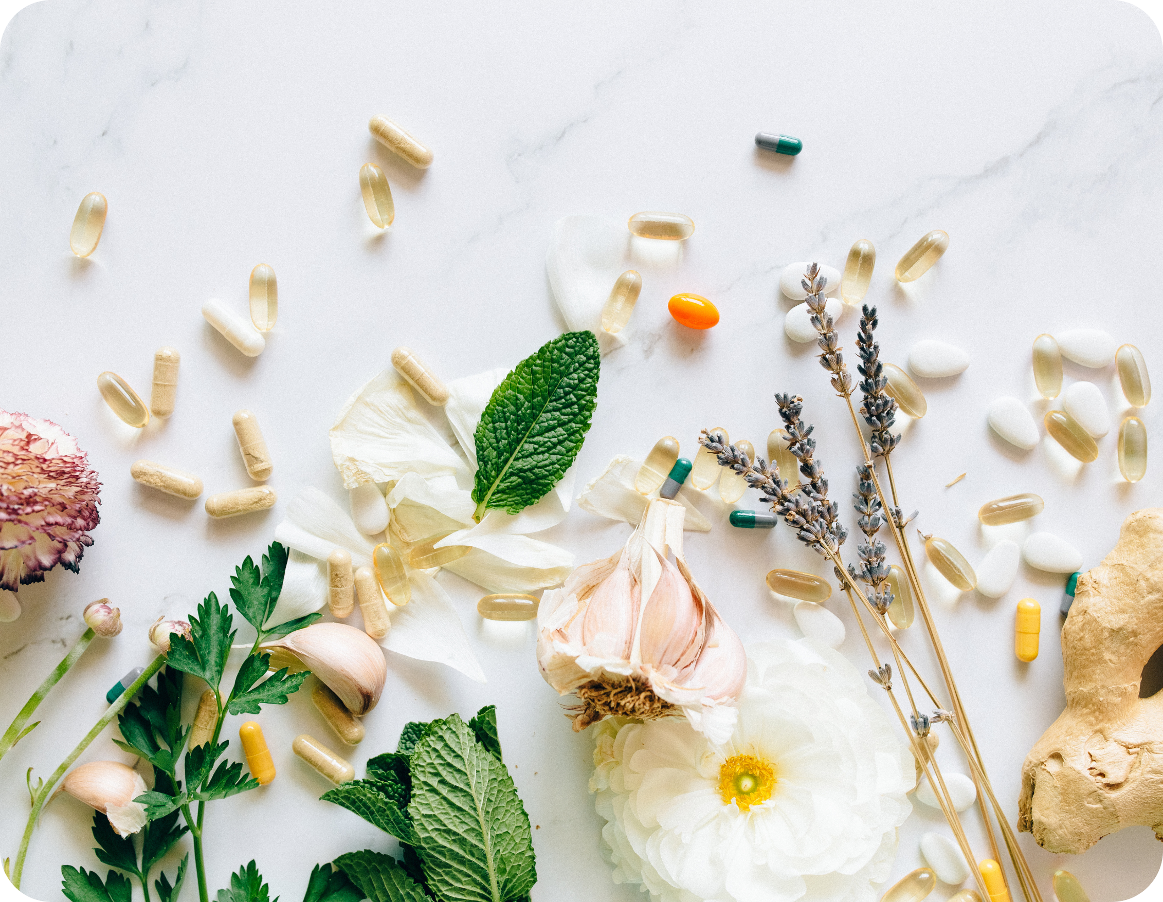 Transform Your Health: A Holistic Approach to Wellness